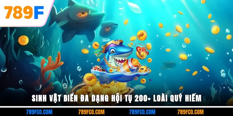 Sinh vật biển đa dạng, hội tụ 200+ loài quý hiếm